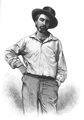 Black and white drawing of Walt Whitman